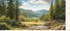 Clear Creek Reservoir Camp